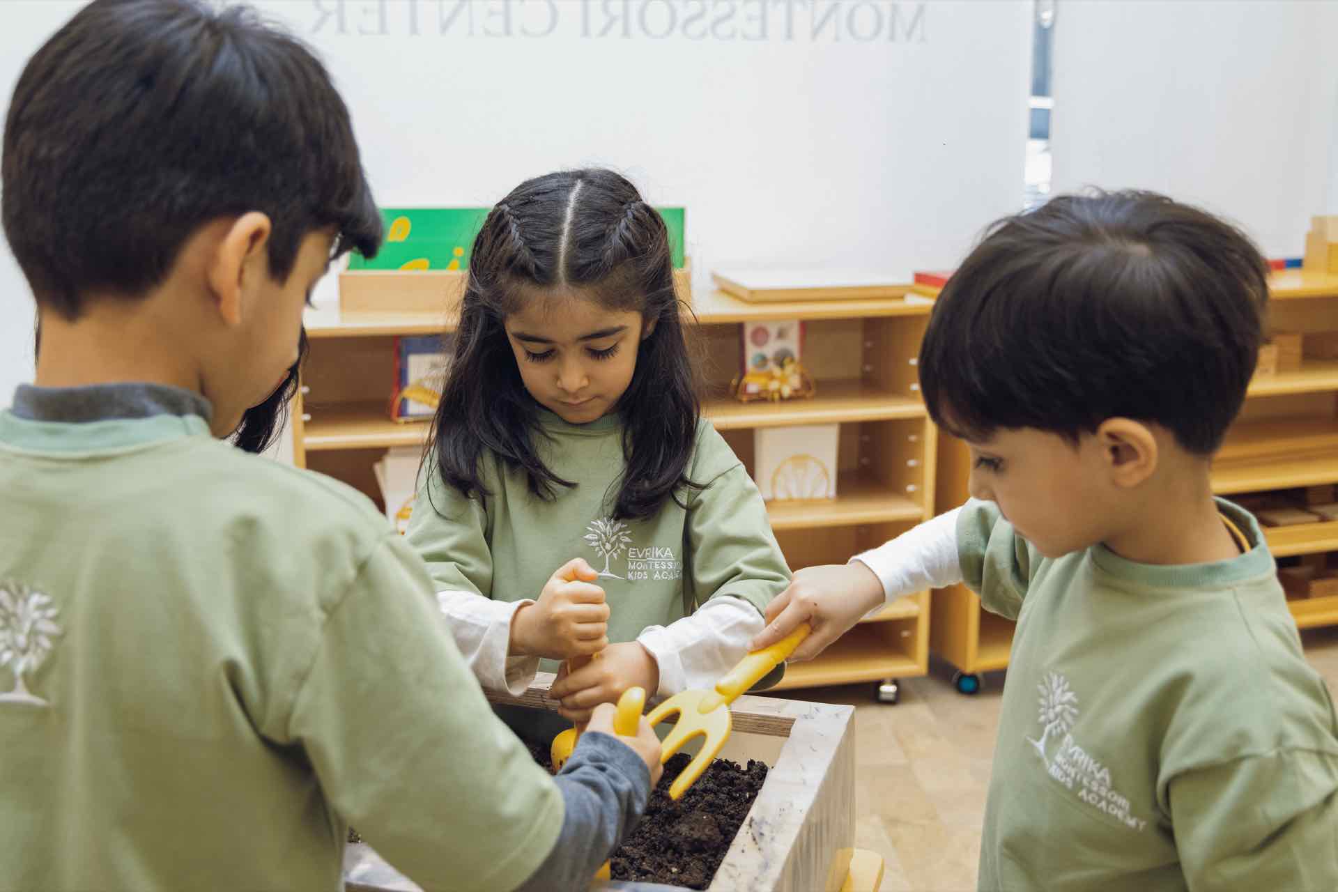Montessori Inkişafı
